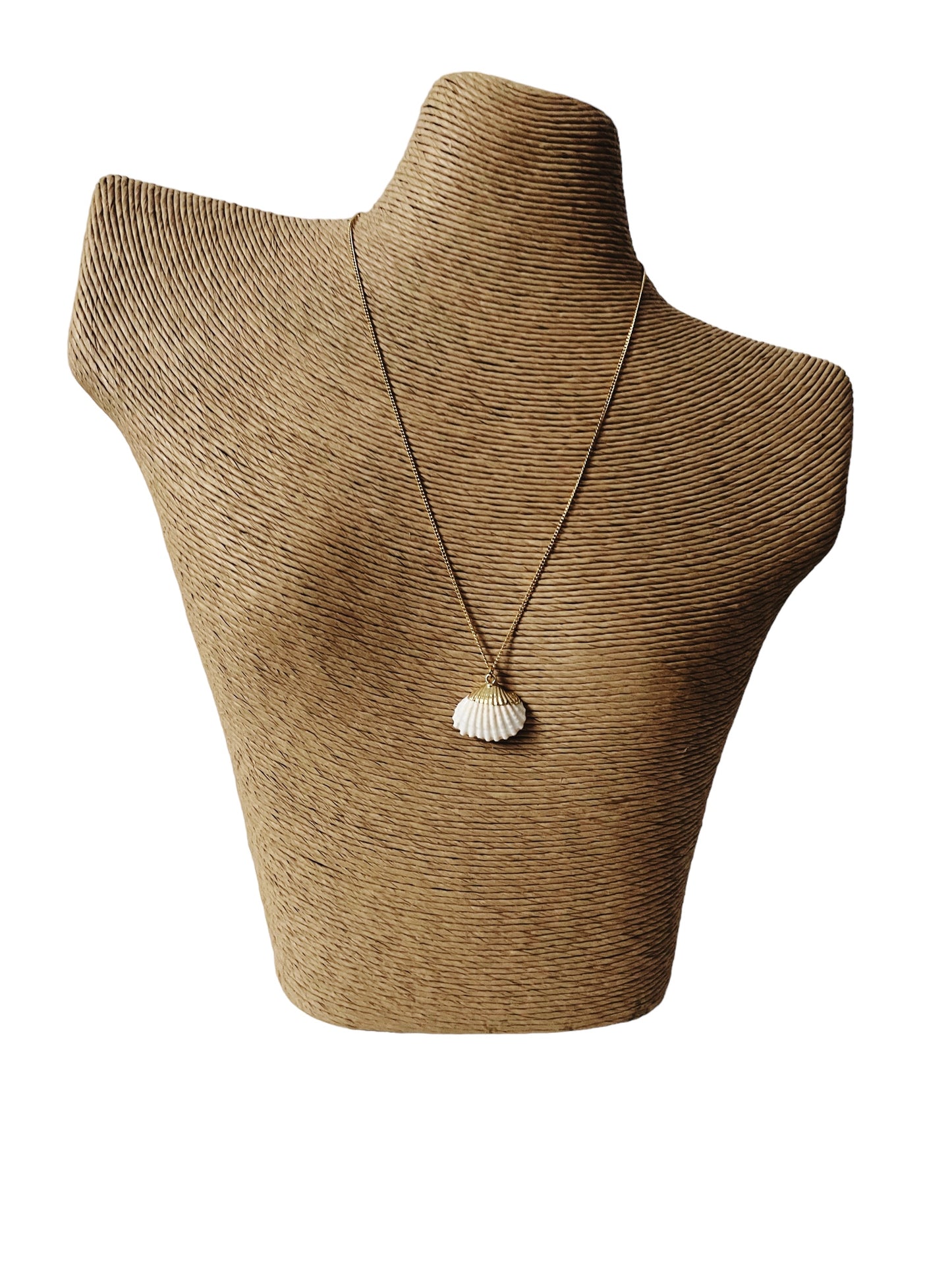 Seashell Shimmer Necklace